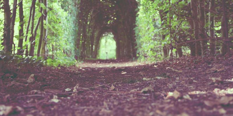 Wi-Fi 6E企业级部署全解析：6GHz频段规划、干扰管理与高密度场景优化