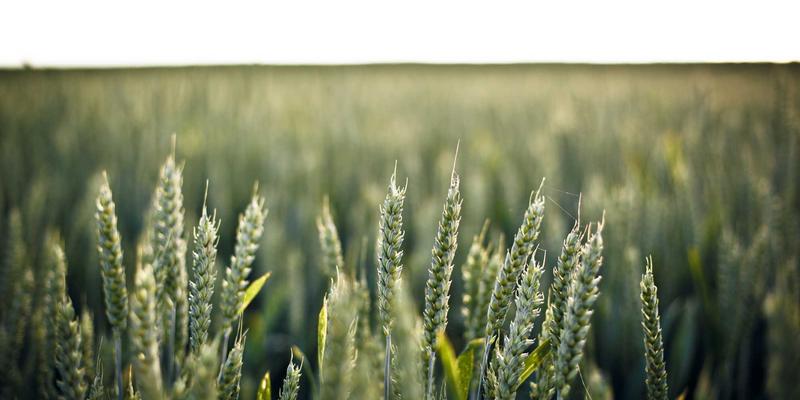 从复古科技到云原生：网络功能虚拟化(NFV)的编程教程与落地难点