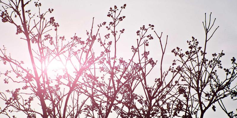 从复古科技到未来网络：400G/800G高速以太网中的编程智慧与硬件革命