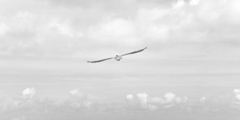 从复古科技到现代编程：一份独特的教程与资源探索指南