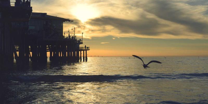 当复古科技遇见未来盾牌：AI与机器学习在网络安全中的工具推荐与软件开发新范式