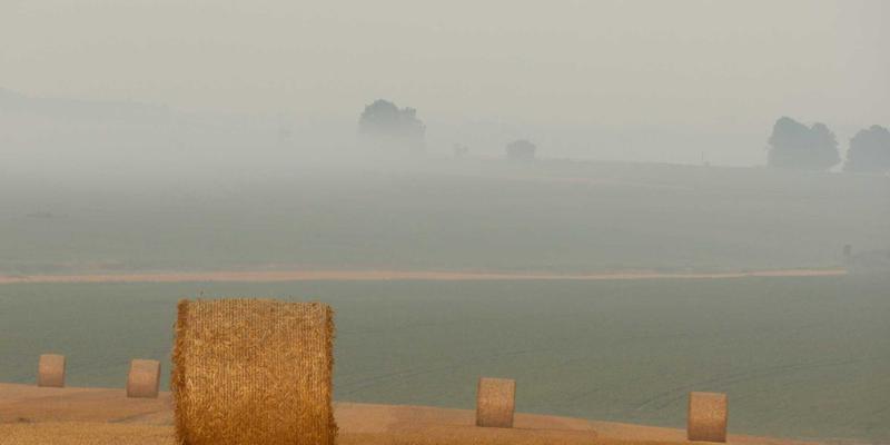 移动开发新利器：QUIC协议替代TCP的性能优化实战与工具推荐