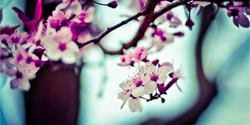 网络技术44：当复古科技遇见现代编程教程的启示