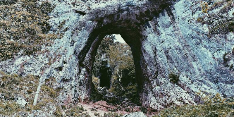 零信任网络架构（ZTNA）实战指南：从工具推荐到编程实现的现代安全模型